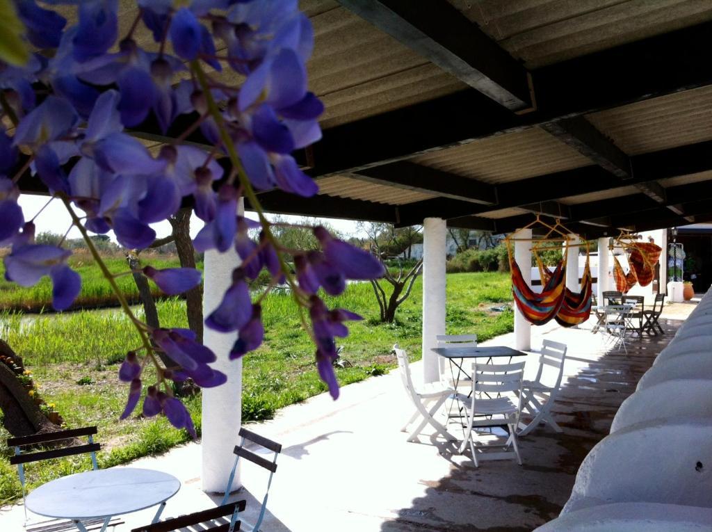 Le Maset En Camargue Saintes-Maries-de-la-Mer Exteriör bild